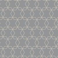 Vector seamless patterns. Geometrical patterns on a gray background.