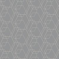 Vector seamless patterns. Geometrical patterns on a gray background.