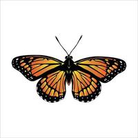 mariposa monarca sobre fondo blanco.
