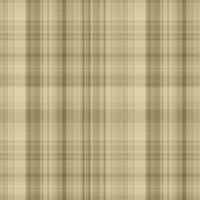 Plaid Patterns Fabric Classic rainbow Checkered Texture Background photo