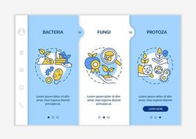 microorganismos en agricultura plantilla de incorporación azul y blanca. sitio web móvil receptivo con iconos de concepto lineal. Tutorial de la página web Pantallas de 3 pasos. lato-negrita, fuentes regulares utilizadas vector