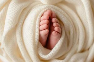 Small beautiful legs of a newborn baby in the first days of life photo