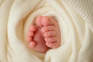 Small beautiful legs of a newborn baby in the first days of life photo