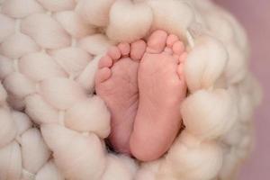 Small beautiful legs of a newborn baby in the first days of life photo