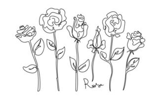 Rose continuous line set, outline sketch style vector abstract art.