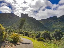 jardín botánico nacional kirstenbosch, ciudad del cabo, sudáfrica. foto