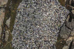 Texture of seashells, beach sand stones. Sea Point Cape Town. photo