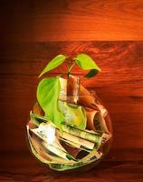 Plant growth from currency nites in a bowl. Concept Energy saving in bowl and tree growing on high currency investment with wooden background. Saving, accounting and financial concept. photo