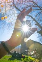 cyclist enjoy sunny weather photo