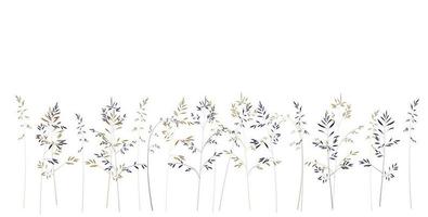 Horizontal white banner or floral backdrop. Field grasses vector stock illustration. Spring botanical. Isolated on a white background.