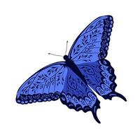 Blue butterfly vector stock illustration. Patterned wings, a summer meadow insect. Isolated on a white background.