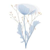 ilustración común del vector de la flor de las amapolas. pétalos azules suaves. naturaleza. diseño de plantilla de tarjeta de invitación de boda floral minimalista. Aislado en un fondo blanco.