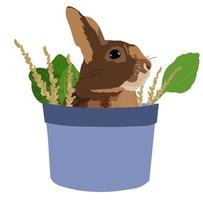 linda ilustración de stock de vector de conejo. un conejo con orejas largas se sienta en una caja de regalo. tarjeta de pascua para niños. animal doméstico en un estilo realista. amor. cartel aislado sobre un fondo blanco.