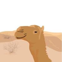 ilustración de stock vectorial de dromedario. primer plano de camello. un animal oriental que vive en el desierto. transporte tradicional árabe. Aislado en un fondo blanco. barcos del desierto vector