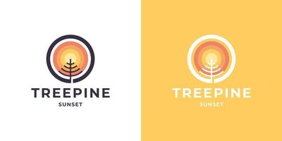 vintage retro hipster pine tree evergreen with sunset logo design vector