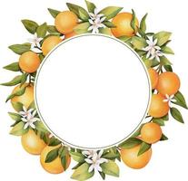 Round frame of hand drawn watercolor blooming orange tree branches, flowers and oranges, isolated illustration on a white background