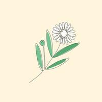 Continuous single line drawing Bhringraj, Eclipta Alba or Eclipta Prostrata, also known as False Daisy is an effective herbal medicinal plant in Ayurvedic medicine. vector illustration.