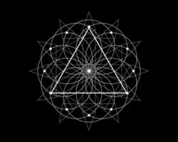 Sacred Geometry magic triangle symbol, third Eye sign. Geometric mystic mandala of alchemy esoteric Flower of Life. White line art vector circle divine meditative amulet isolated on black background