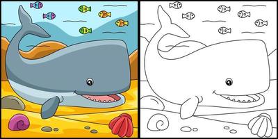 Sperm Whale Coloring Page Illustration vector