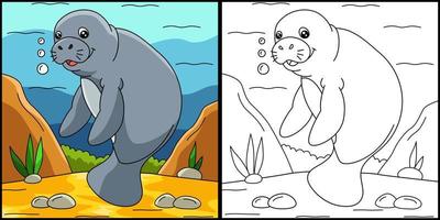 Manatee Coloring Page Colored Illustration vector