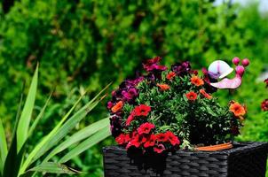 flowers in rattan pot photo