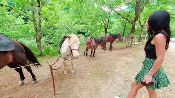 Caucasian woman cares white beautiful horse isolated in Mtirala national park, Georgia video