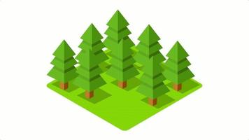 Tree Animation Stock Video Footage for Free Download