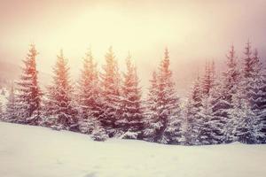 Mysterious winter landscape majestic mountains photo