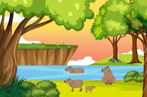 Scene with wombats by the river vector