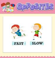 Opposite words for fast and slow