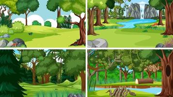 escenas de la naturaleza con árboles en el bosque vector