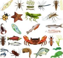 Different kinds of insects and animals on white background vector