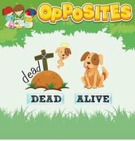 Opposite words for dead and alive vector