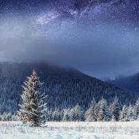 cielo estrellado en la noche de invierno cubierto de nieve. cárpatos, ucrania, europa foto