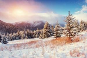 Mysterious Winter landscape with fog, majestic mountains