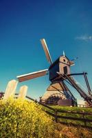 Old Dutch windmills spring from the canal in Rotterdam. Holland photo