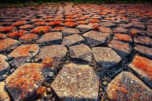 antiguo camino de piedra. mundo de la belleza montes de Cárpatos. Ucrania. Europa foto