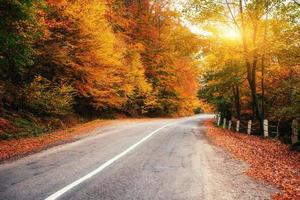 Beautiful road in mountains. Carpathian Ukraine Europe. photo