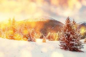 magical winter landscape, background with some soft highlights a photo