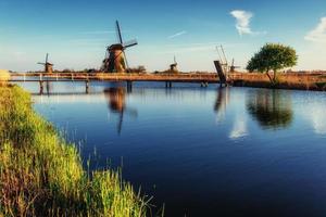 Colorful spring day with traditional Dutch windmills canal in Ro photo