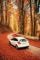 car on a forest path. Beautiful road in mountains. Carpathian photo