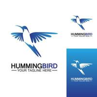 Hummingbird logo design vector template