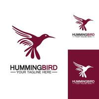 Hummingbird logo design vector template