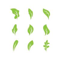 Green leaves logo.green leaf icons set vector template