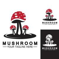 Mushroom Logo Vector Design Template