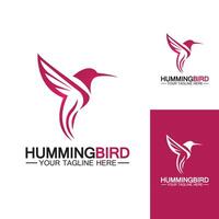 Hummingbird logo design vector template