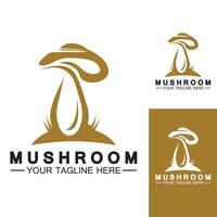 Mushroom Logo Vector Design Template