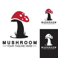 Mushroom Logo Vector Design Template