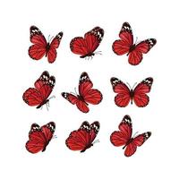 butterflies collection beautiful nature colored flying insects ornamental wings moth realistic butterfly colored insect moth flying natural fly illustration vector