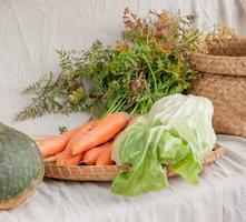 Autumn season vegetable composition from the fruit vineyard photo